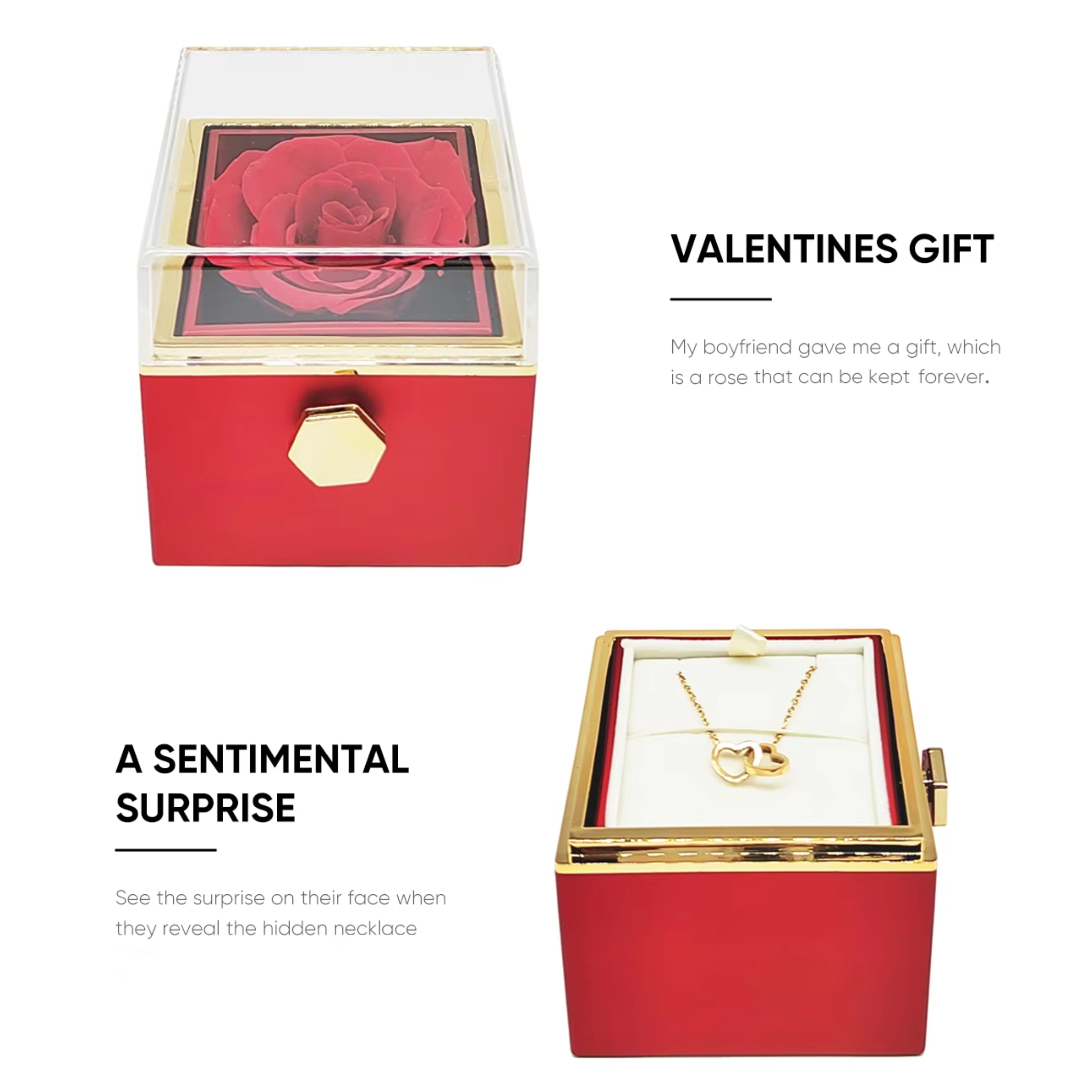 Preserved Rose Gift with Necklace